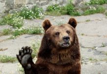 Podsumowanie i pożegnanie