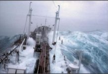 Chciałam być marynarzem…