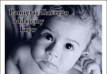 Zostań krwistym Mikołajem!