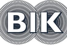 Rejestry bankowe BIK, BIG, ZBP