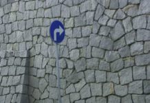 Bijąc głową w mur