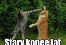 #13 Kopę lat!