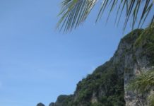 Wanna be on Phi Phi? Motivation is bullshit!