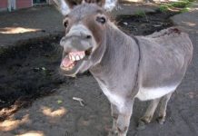 Jak nie być turniejowym donkiem