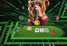 Slobberknocker Turbo na Unibet Poker – duże pule festiwalu turbo knockout! Slobberknocker MTT
